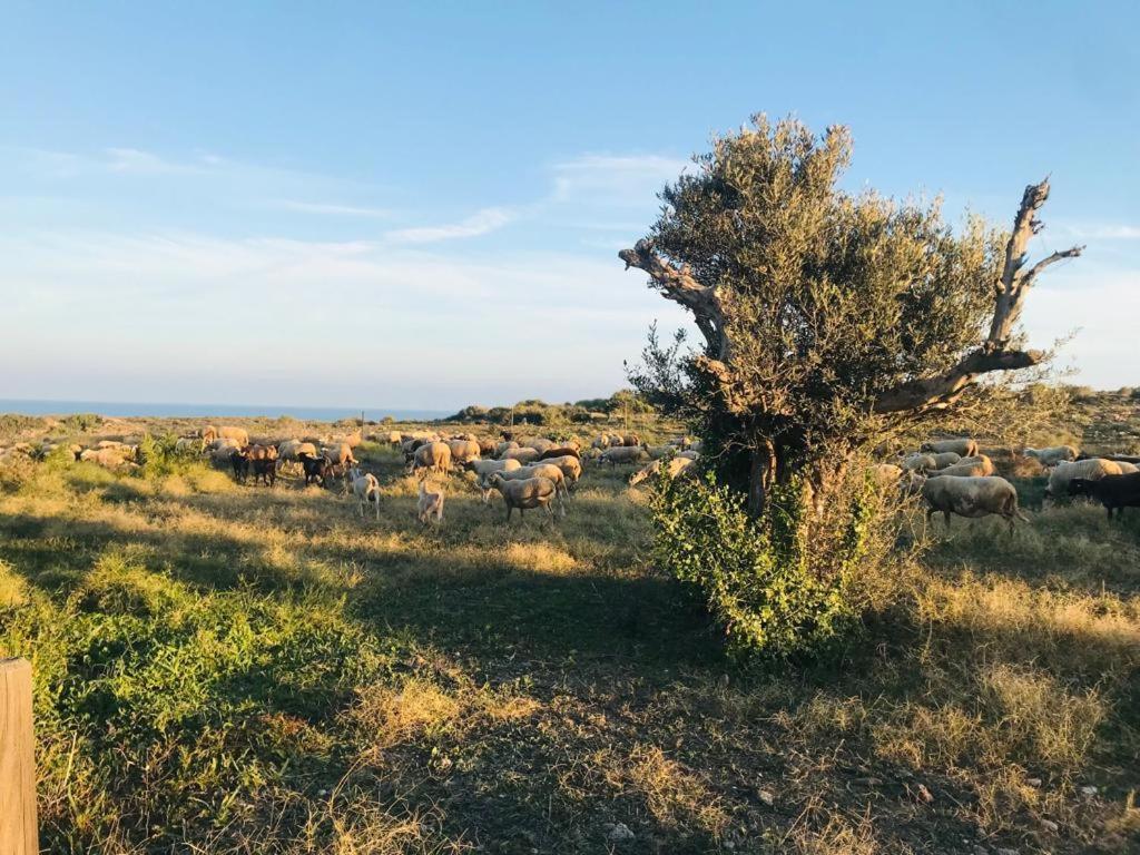 Bungalows & Estudios Los Escullos Алмерия Екстериор снимка