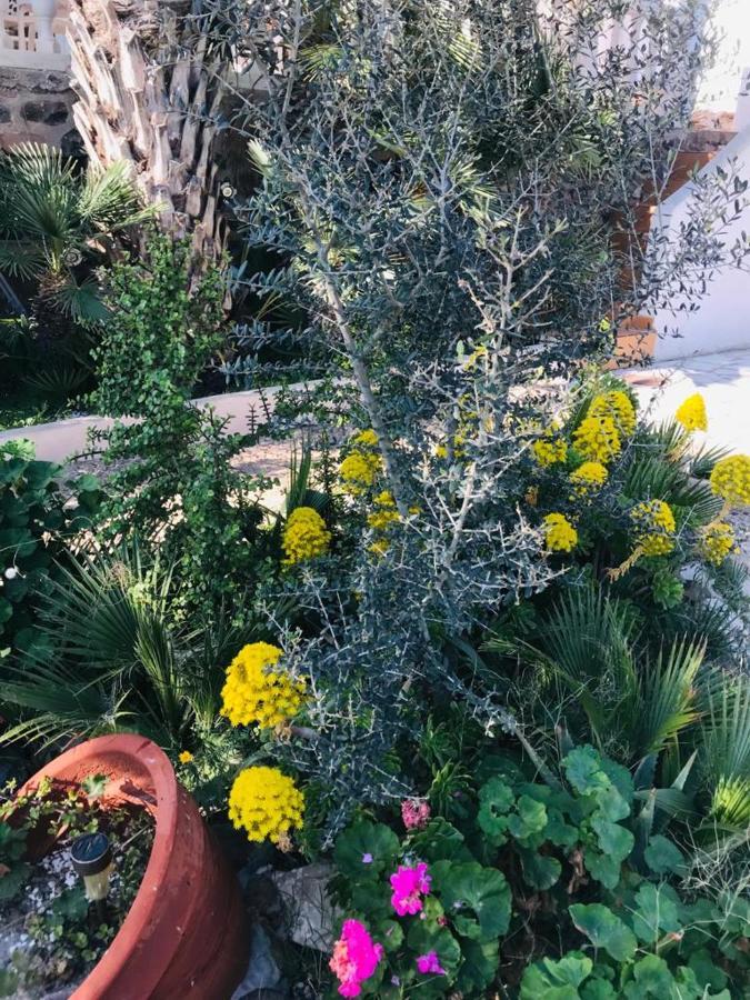 Bungalows & Estudios Los Escullos Алмерия Екстериор снимка